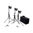 Dedolight CBH3B 3 DLH4 Head Cirro Budget Kit Basic