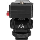 Atomos AtomX 5-inch 7-inch Monitor Mount - AO-ATOMXMMQR1