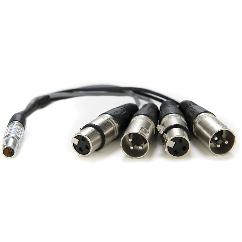 Atomos XLR Breakout Cable - AO-ATOMCAB016