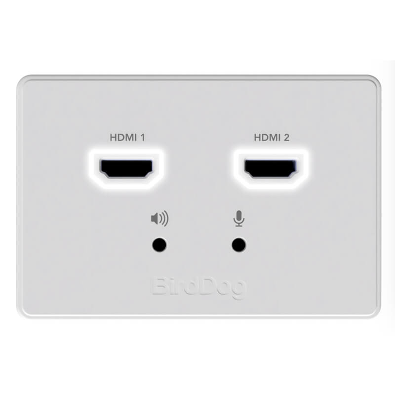 BirdDog Dual HDMI Wallplate Input - BD-WPIN