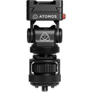 Atomos Cold Shoe Mount - AOATOMXMMQR2