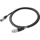 Libec DC-F12 Connection Cable for Fujinon 12-pin Portable Lenses and the FD-1