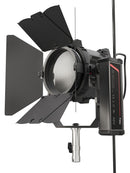 Fiilex Q6 Color-LR LED Fresnel Light - FLXQ6CLR