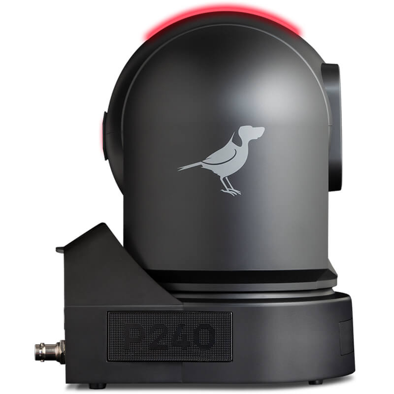 BirdDog P240 Full NDI NDI|HX2 and HX PTZ Camera Black - BDBDP240B (SAVE 19%)
