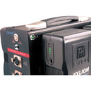 FXLION PL-4DCS Skypower 24V DC Output Adapter & Charger V-Mount