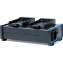 FXLION PL-U65 2-Channel Charger for Sony BP-U Batteries 16.8V / 1.5A