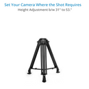 Proaim P-TP-100-B 100mm Bowl Head Tripod Stand with Rubber Tripod Shoes