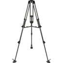 Libec RT20C 2-Stage Lightweight Carbon Fiber Tripod Legs with 75mm Bowl