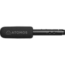 Atomos StudioSonic Shotgun Microphone - AOATOMSSMC01