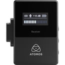 Atomos StudioSonic Shotgun Microphone - AOATOMSSMC01