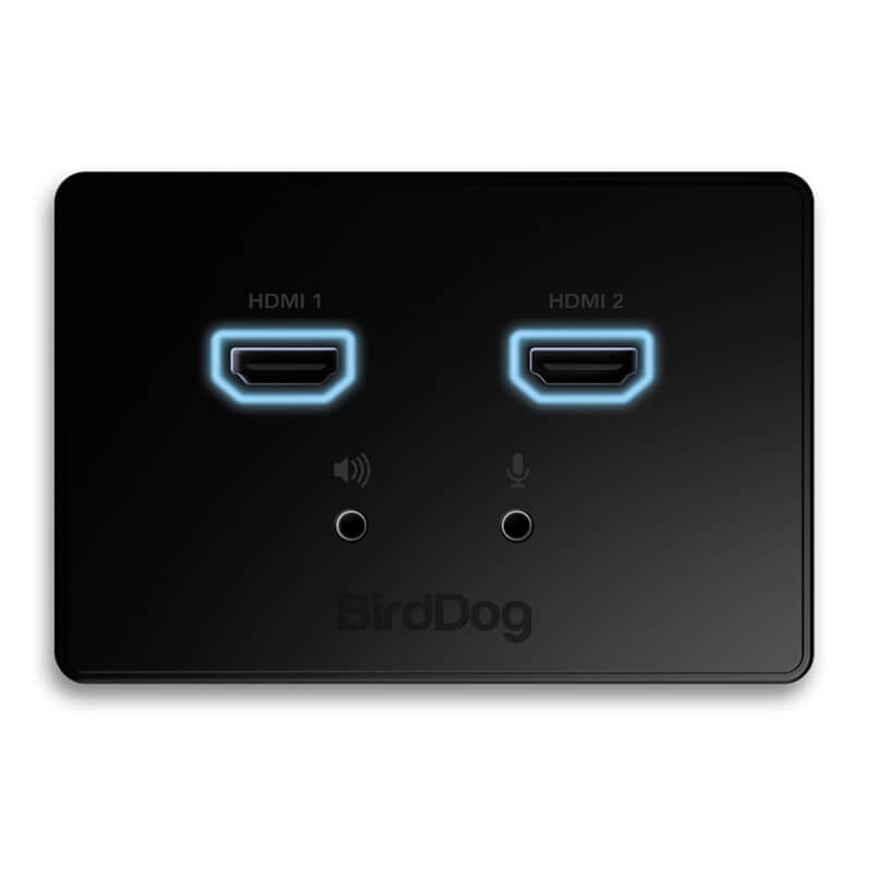 BirdDog Dual HDMI Wallplate Input - BD-WPIN