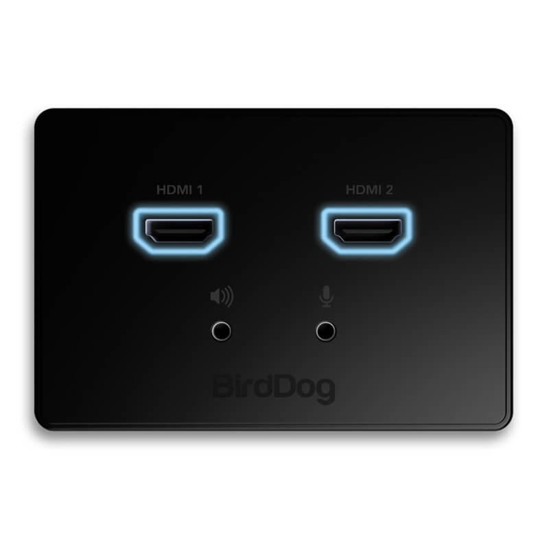 BirdDog Dual HDMI Wallplate Output - BD-WPOUT