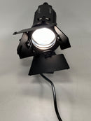 Dedolight DLHM4-300E 150W Light Head (USED)