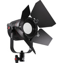 FIILEX P3 Color Pro Bundle Portable 90W LED Light - FLXP3CLR-PRO