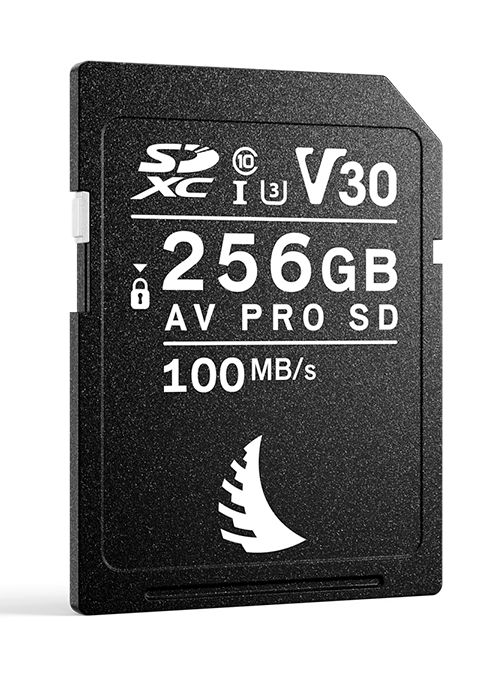 Angelbird AVP256SDV30 AV PRO SD V30 256GB UHS-I SDXC Memory Card - AB-AVP256SDV30