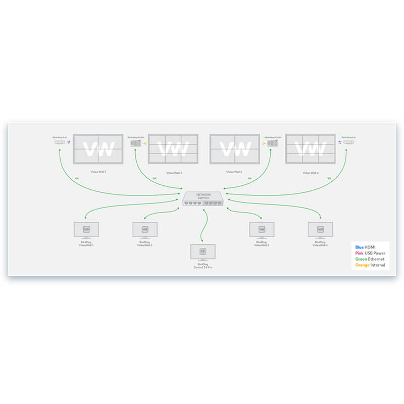 BirdDog VideoWall Software Kit with 4x BirdDog PLAY Units Included - BDVW4PACK